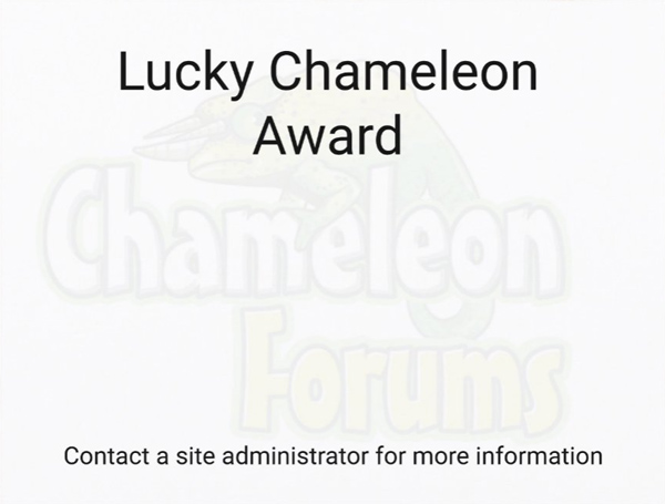 luckycham-back.jpg
