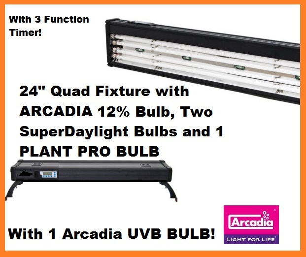 LYR Quad Fixture.jpg