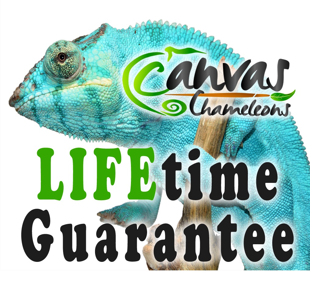 Main Lifetime Guarantee 3.jpg