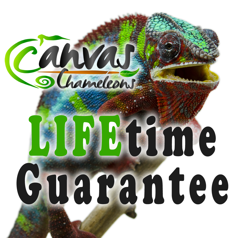 Main Lifetime Guarantee.png