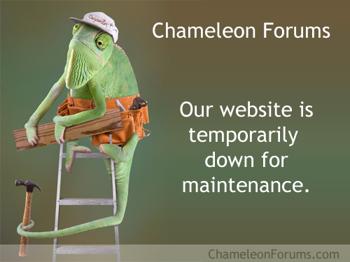 maintenance.jpg
