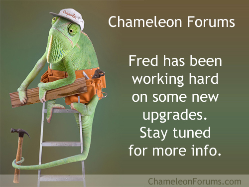 maintenance5.jpg