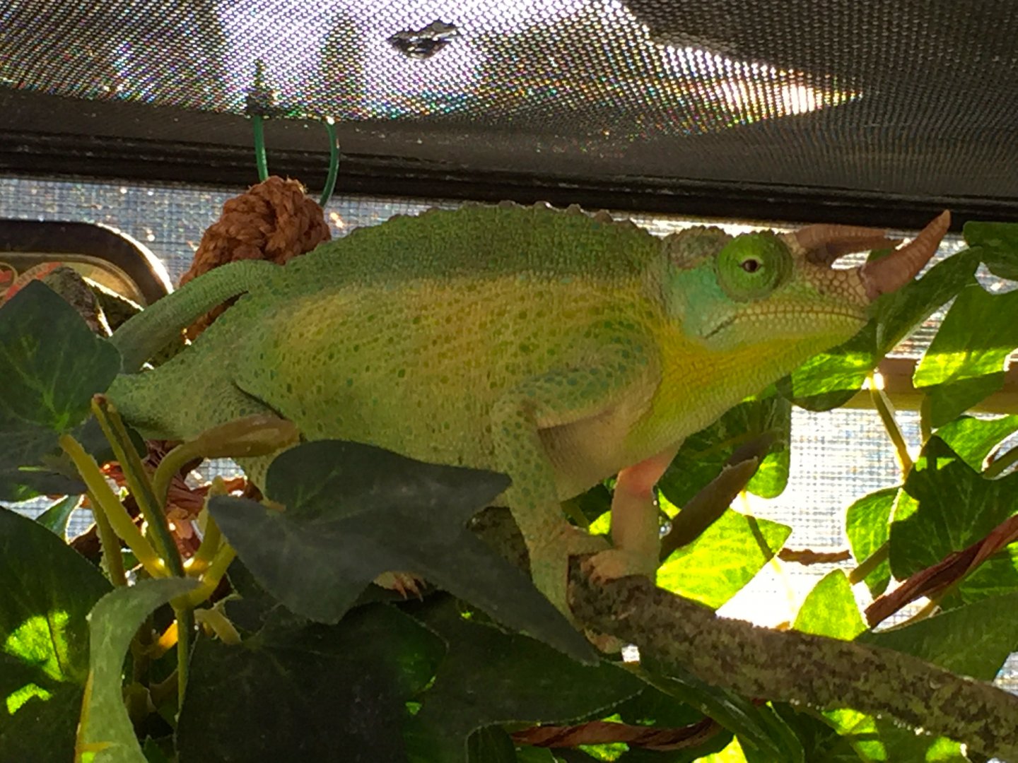 MAMA JJ OUTSIDE.JPG