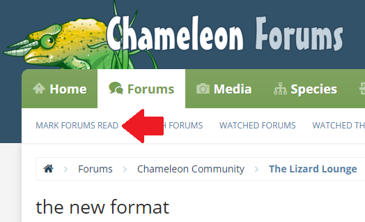 MFR.png