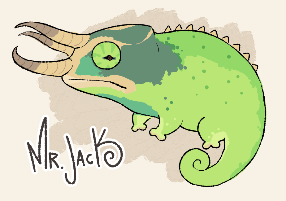 mrjack.png