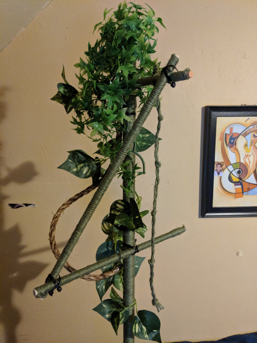 MVIMG_20180424_220753.jpg