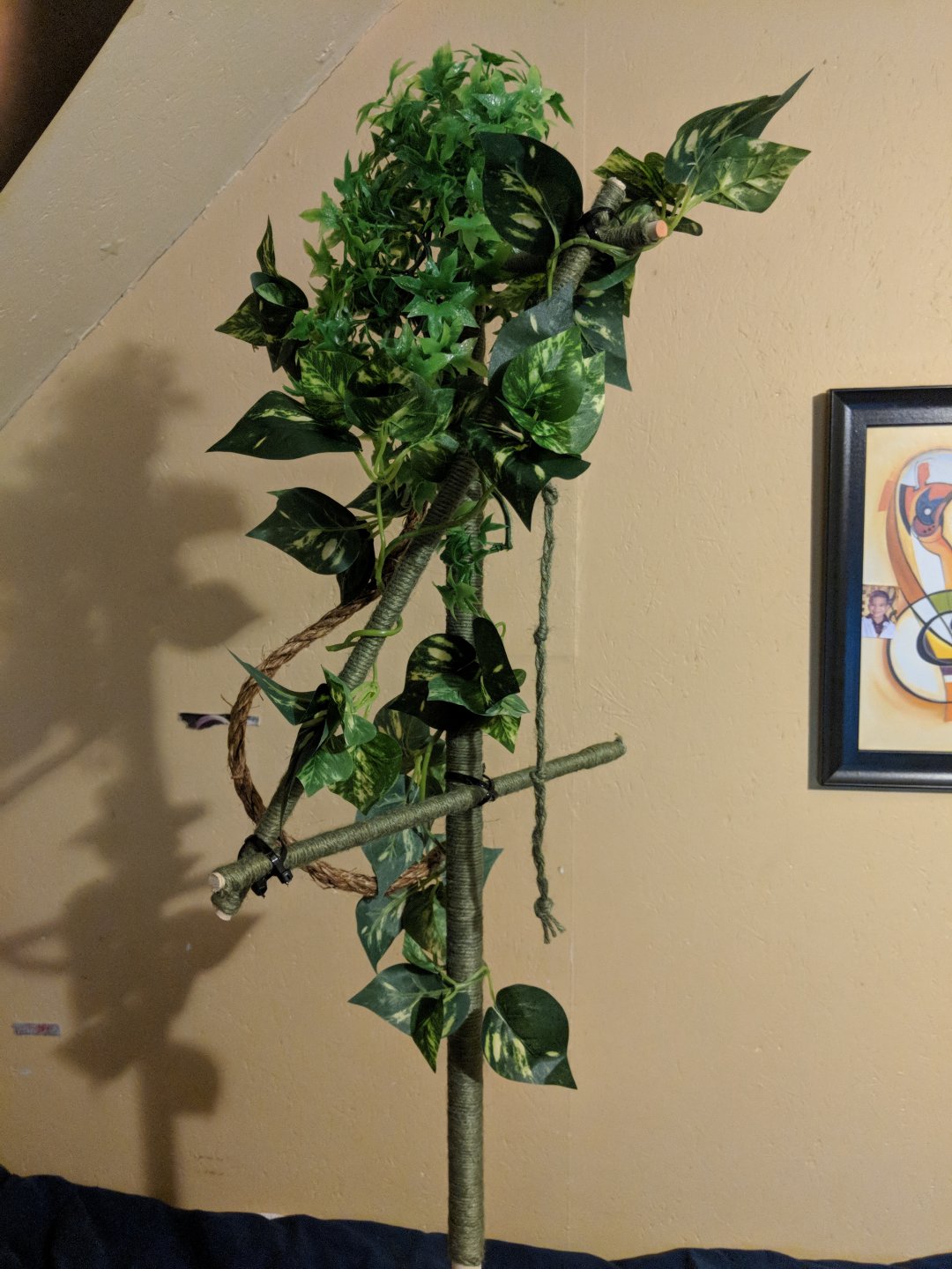 MVIMG_20180424_221539.jpg