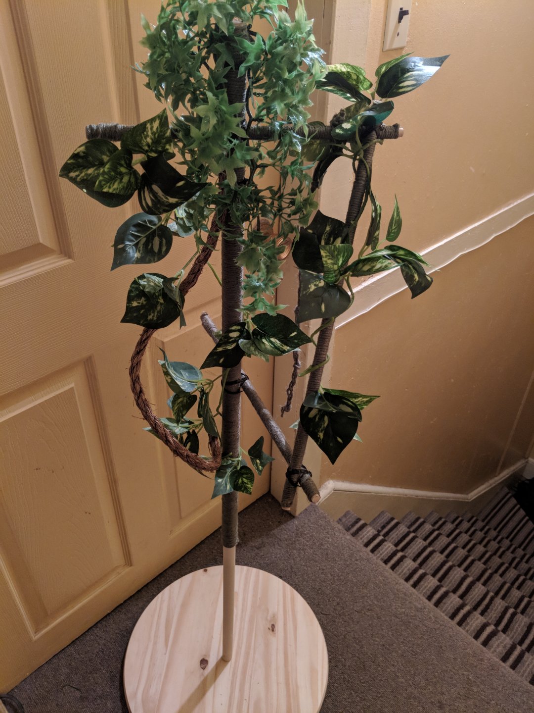MVIMG_20180424_221636.jpg