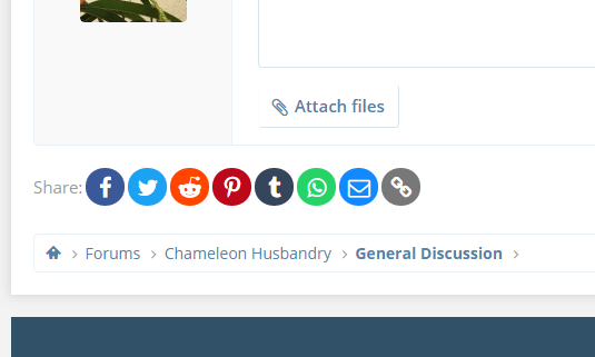 nav bar.PNG