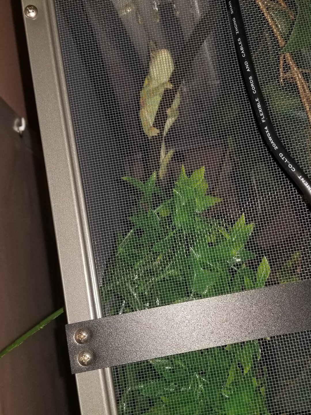 new cage sleeping spot.jpg