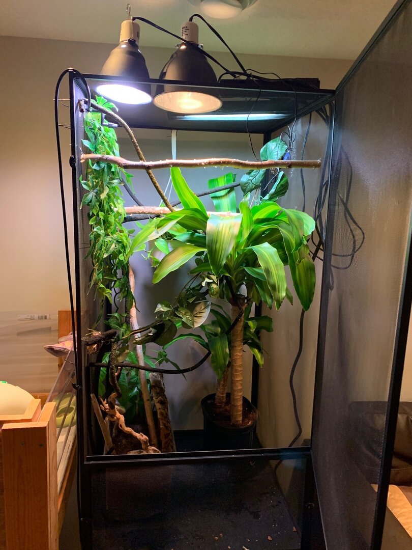 newest enclosure.jpg