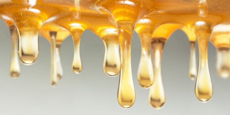 o-HONEY-facebook.jpg.cf.jpg