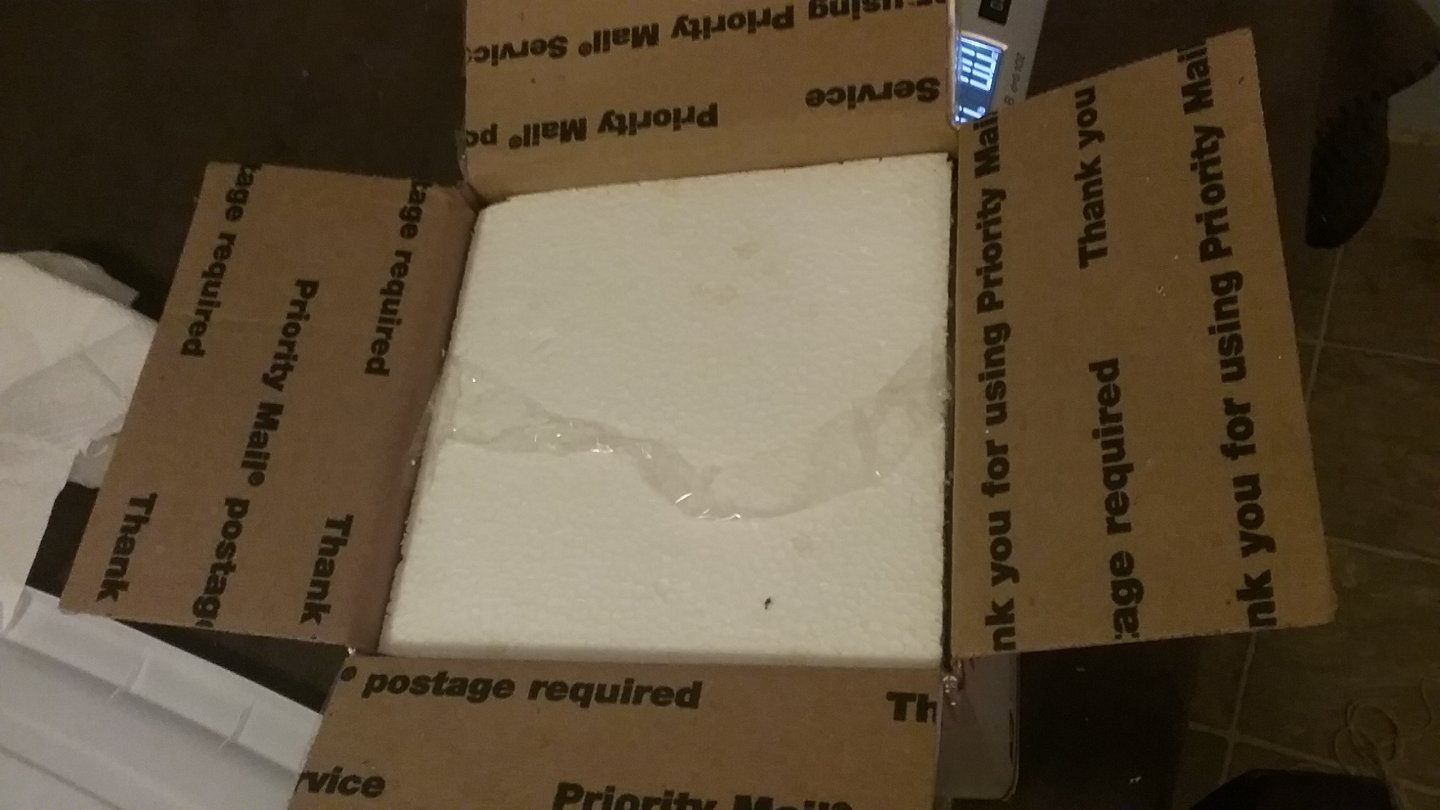 Packing 3.jpg