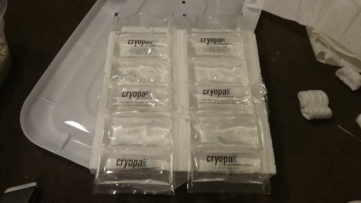 Packing 7.jpg