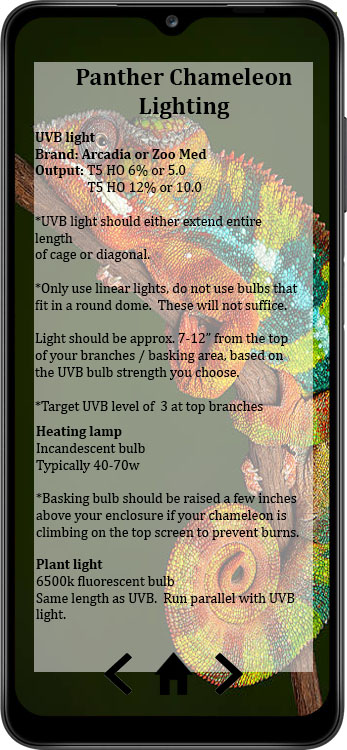 PantherLighting.jpg