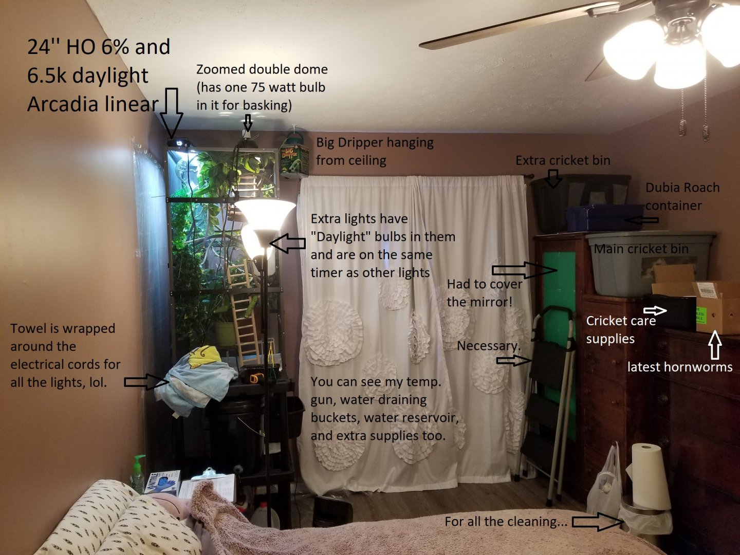 pepes half of my bedroom_with text.jpg