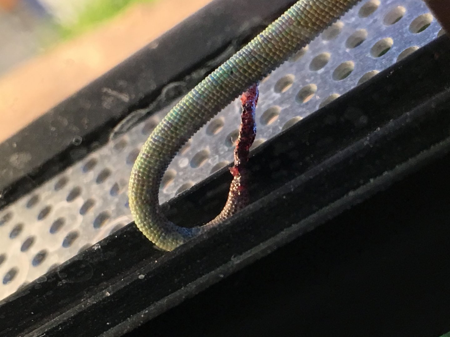 Photo 12-19-17, 7 20 10 PM.jpg