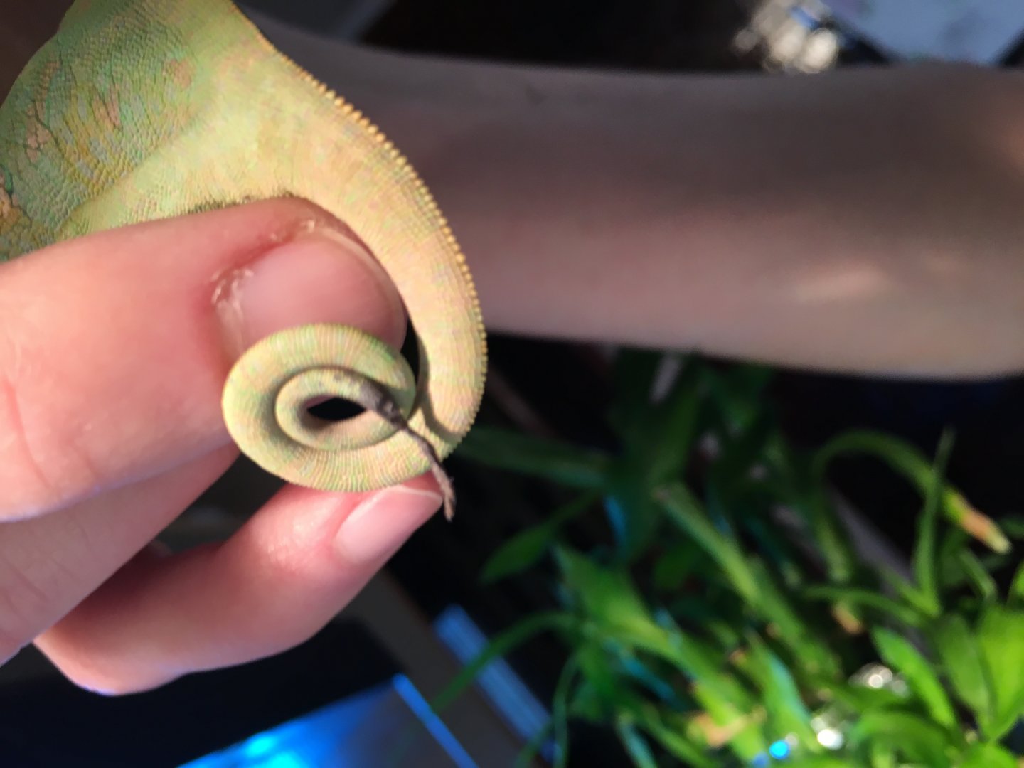 Photo 12-21-17, 4 05 10 PM.jpg