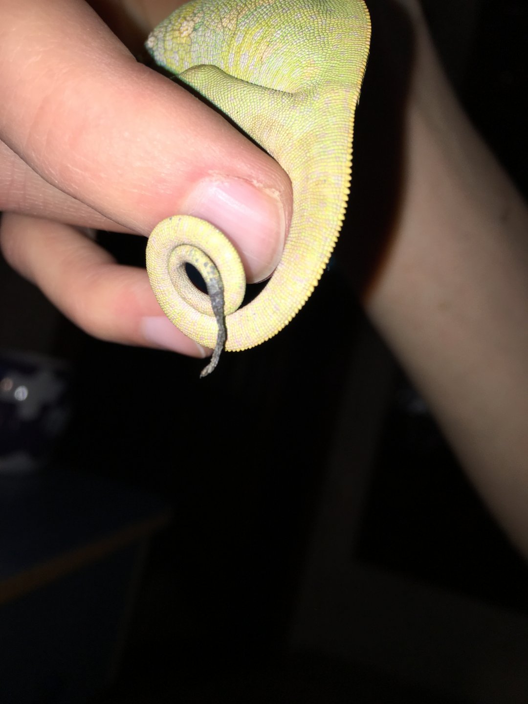 Photo 12-21-17, 4 06 31 PM.jpg