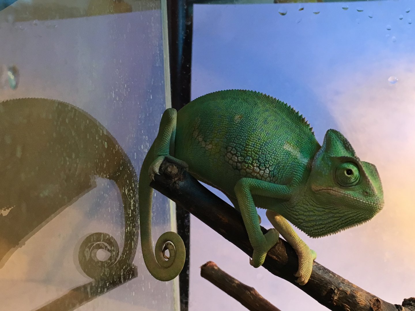 Photo 12-24-17, 12 10 48 AM.jpg