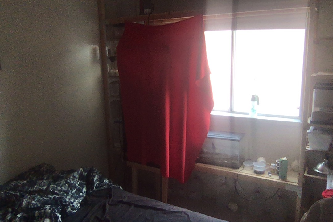 Photo on 10-7-20 at 1.47 PM #2.jpg