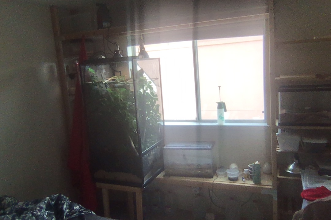 Photo on 10-7-20 at 1.47 PM.jpg