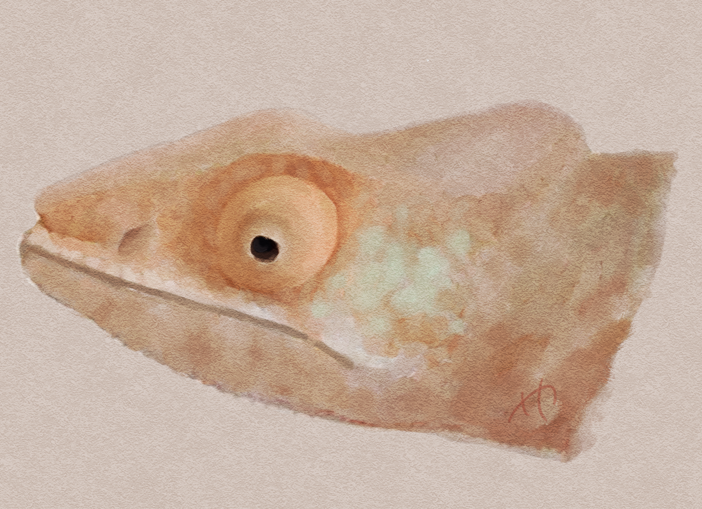 Pixie Painting!!.png
