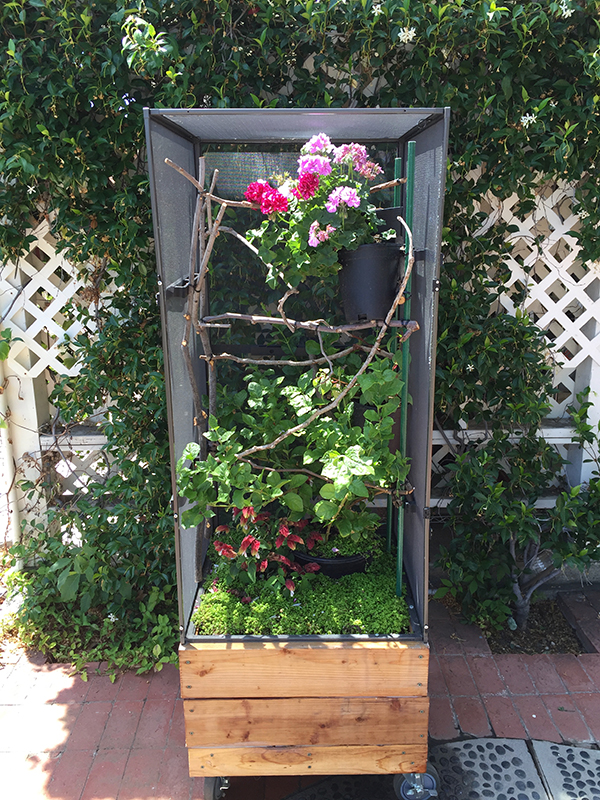 planter box cage 600.jpg