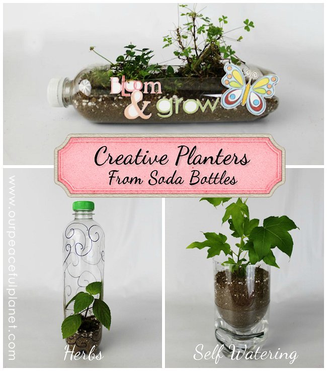 planters.from_.soda_.bottles.ad_.jpg