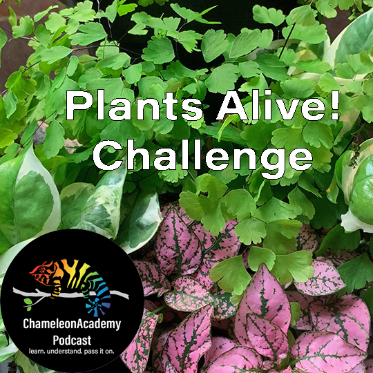 Plants alive 1x1.jpg