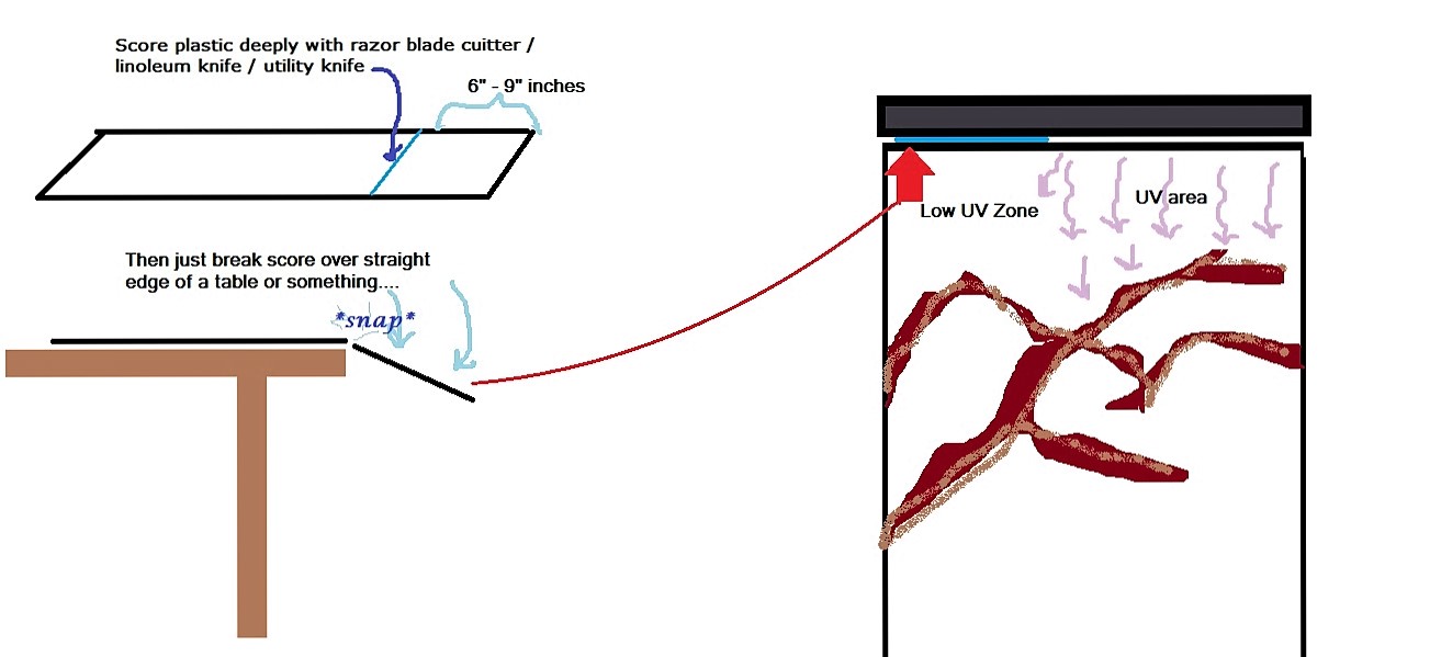 plastic to make uv zone.jpg