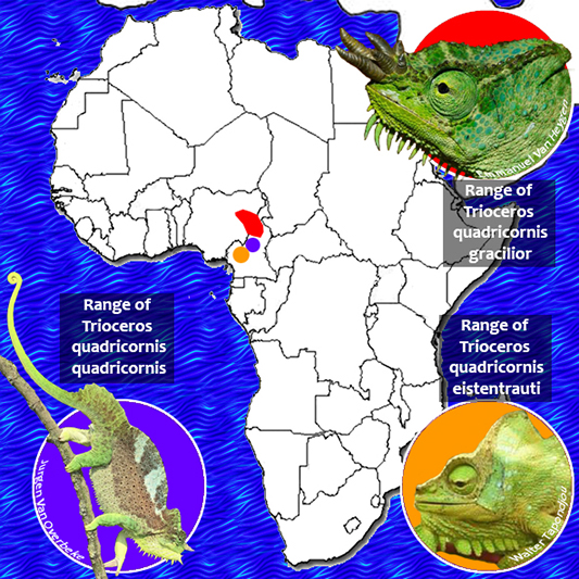 Quadricornis Range Map 533.jpg