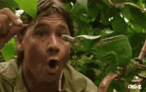 received_2455732777817064.gif