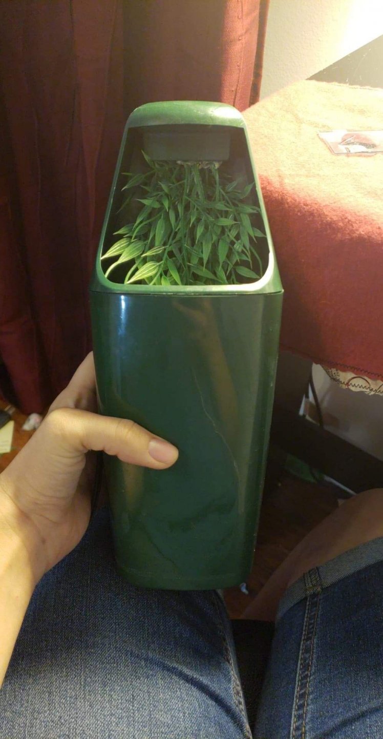received_300220664146892.jpeg