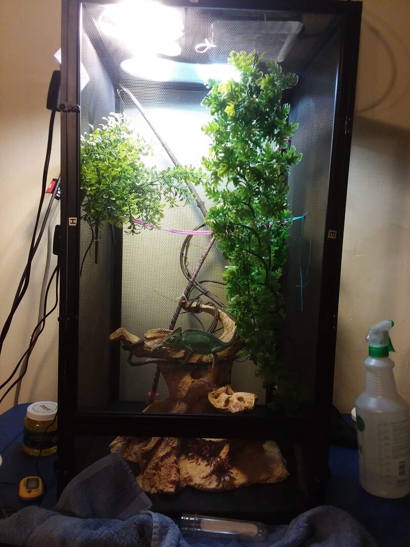 received_374688763429155.jpeg