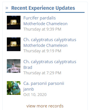 recent-updates1.jpg