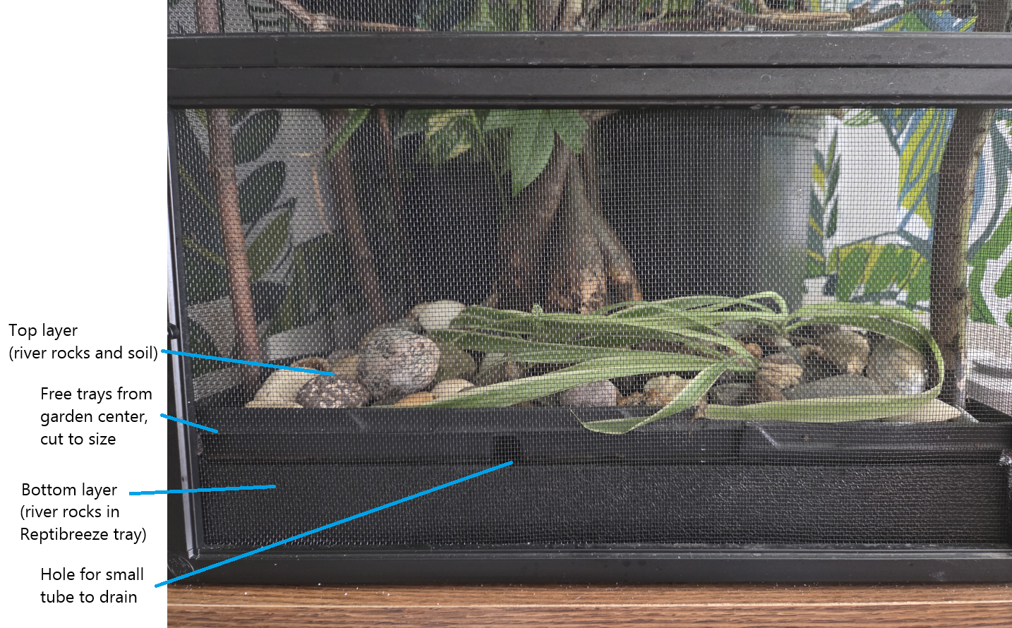 reptibreezetray.png