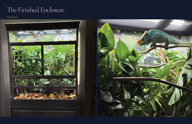 Sample Spread 1 800x518.jpg