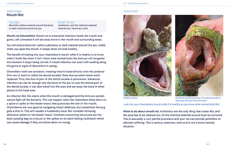 Sample Spread 7 800x518.jpg