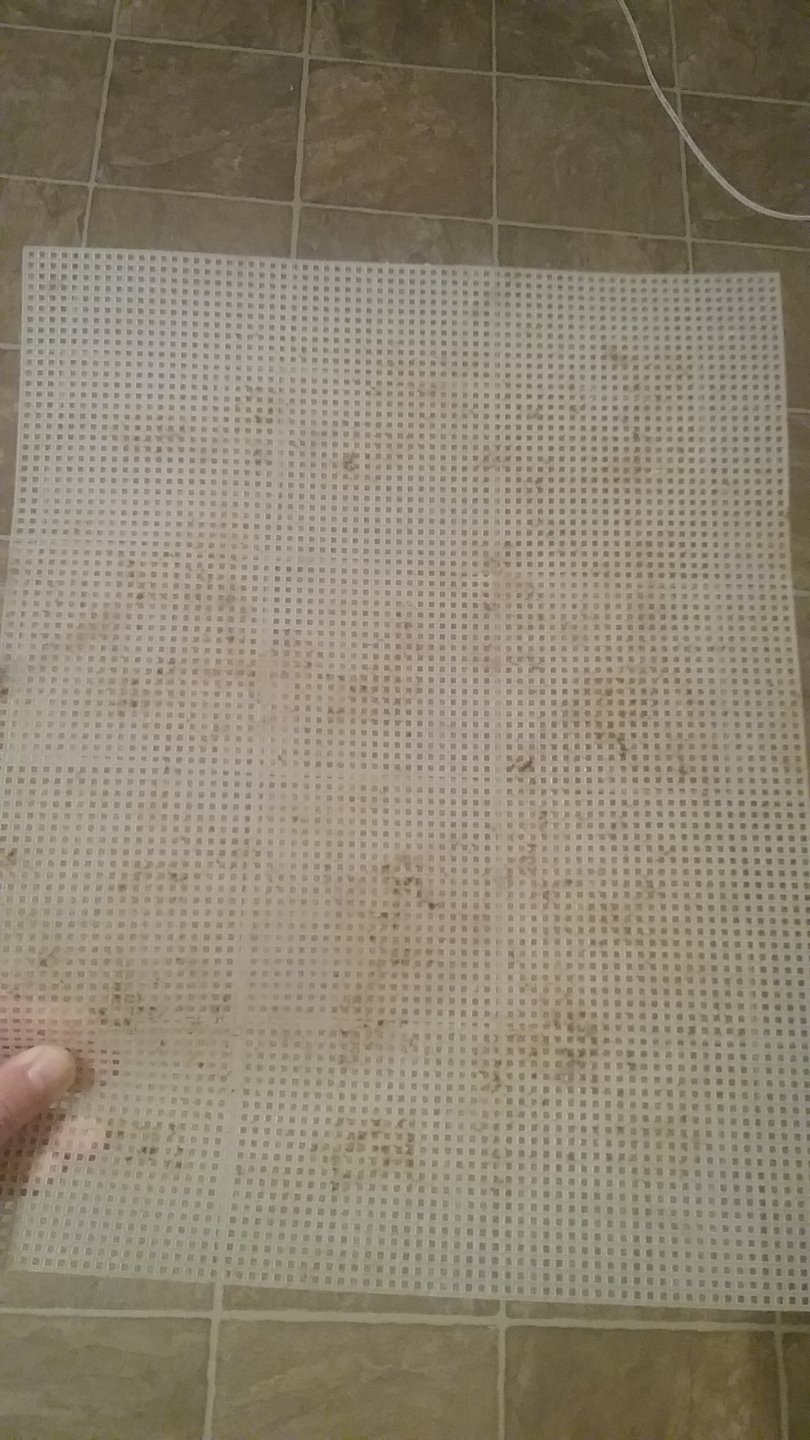 Screen 3.jpg