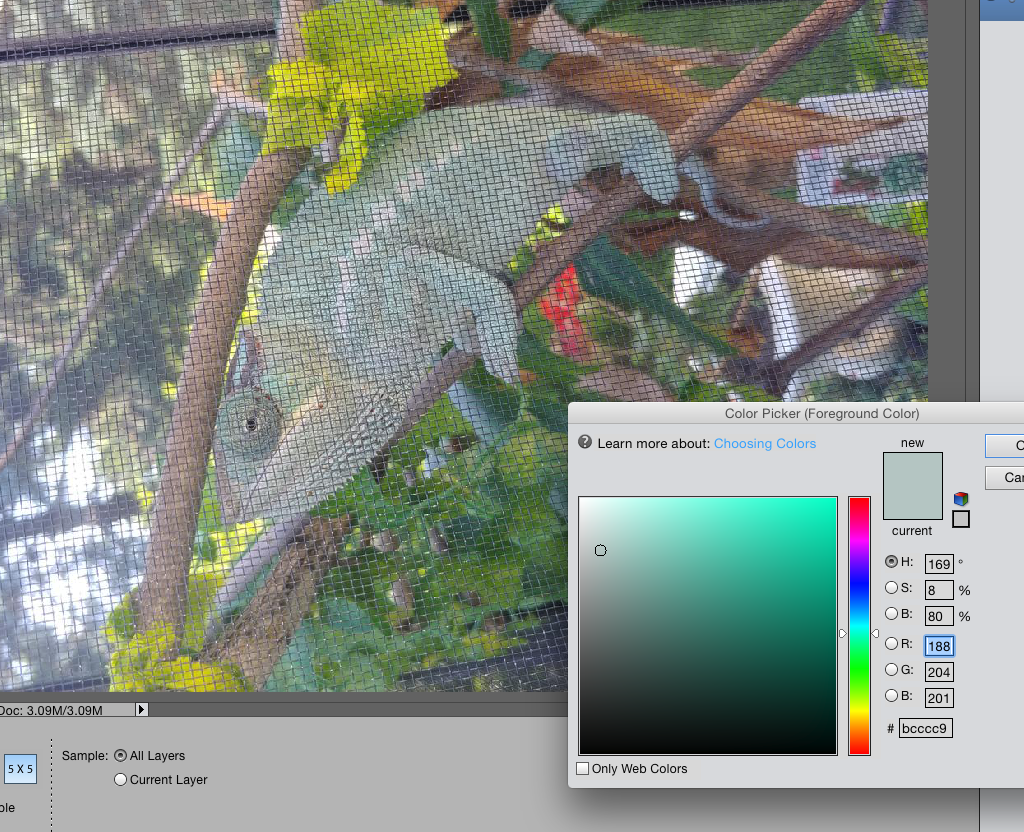 Screen Shot 2019-07-19 at 4.17.17 PM.png