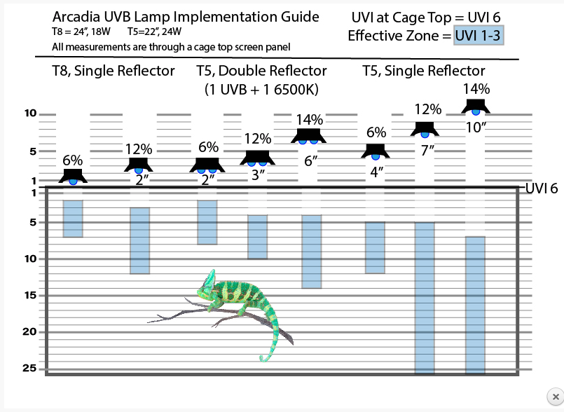 Screen Shot 2020-05-11 at 7.57.16 PM.png