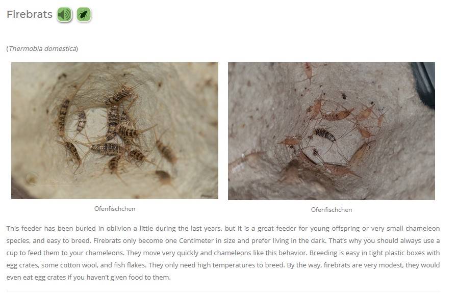 Screenshot 2021-06-02 122125.jpg