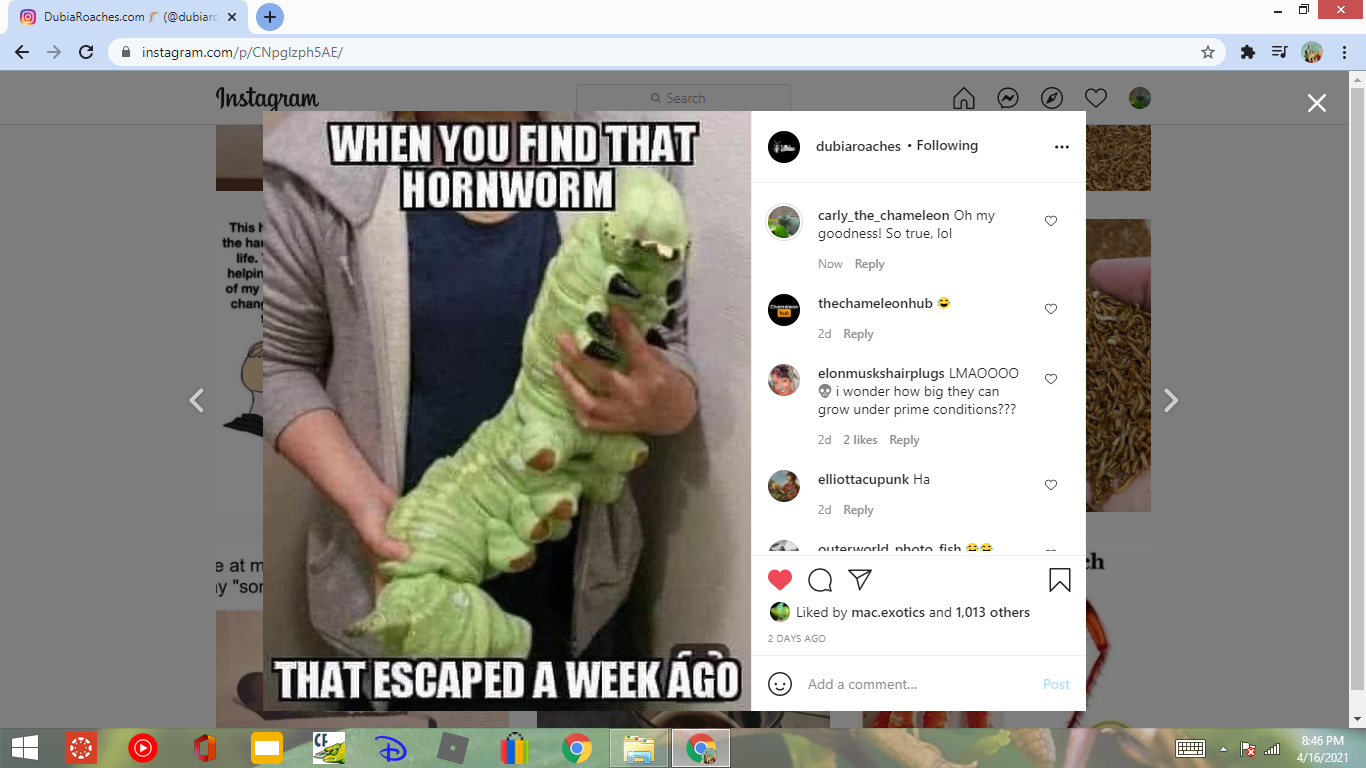 Screenshot (35).png