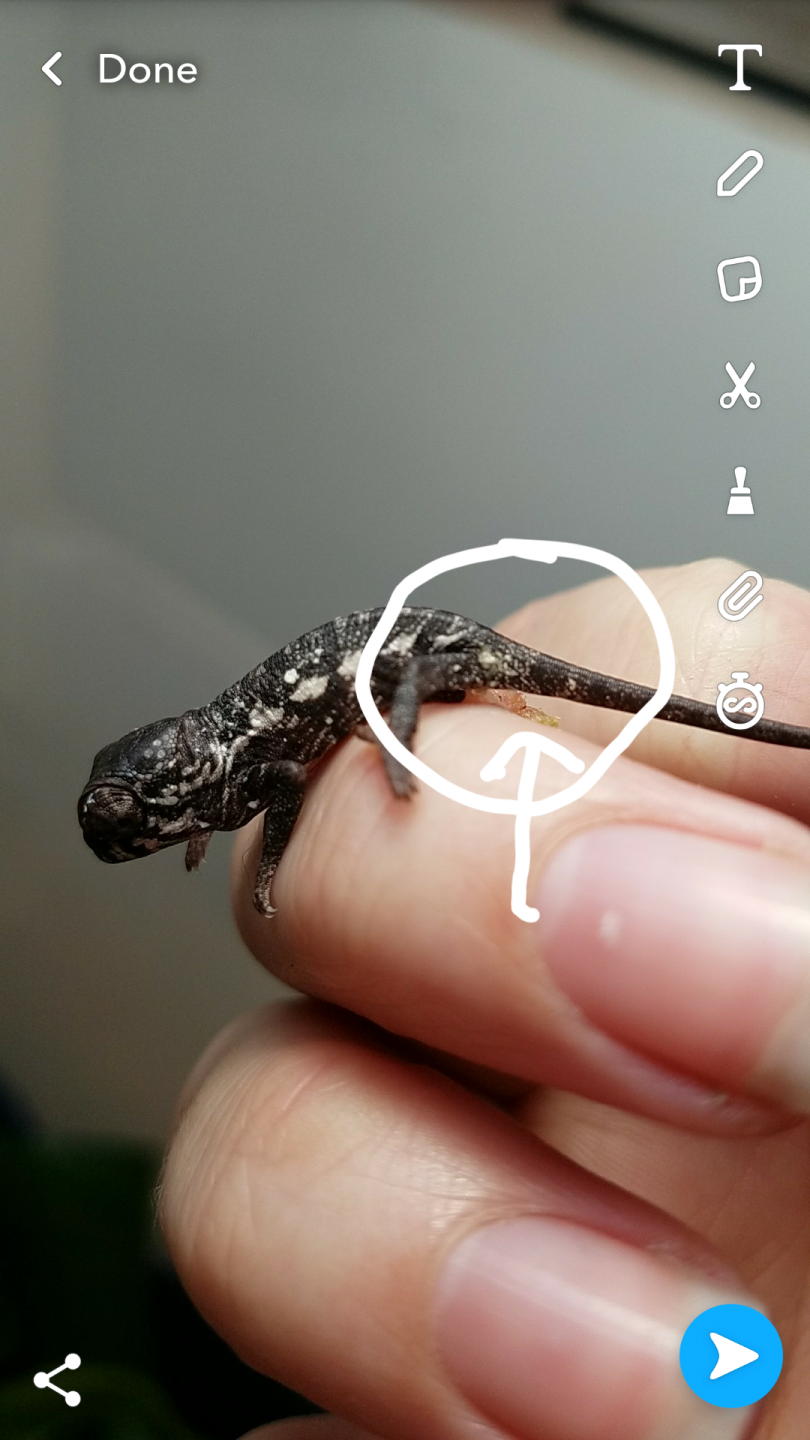 Screenshot_20180222-212205.png