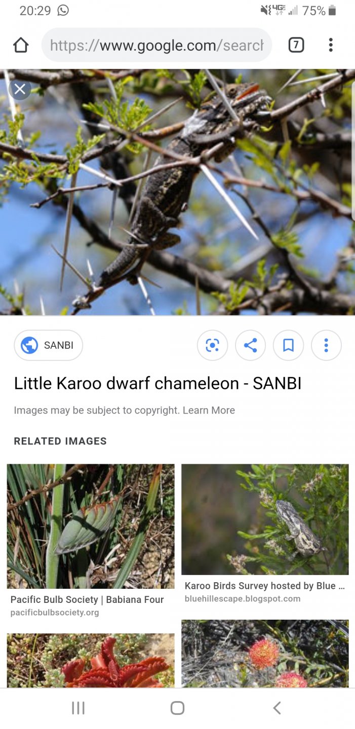 Screenshot_20190504-202931_Chrome.jpg
