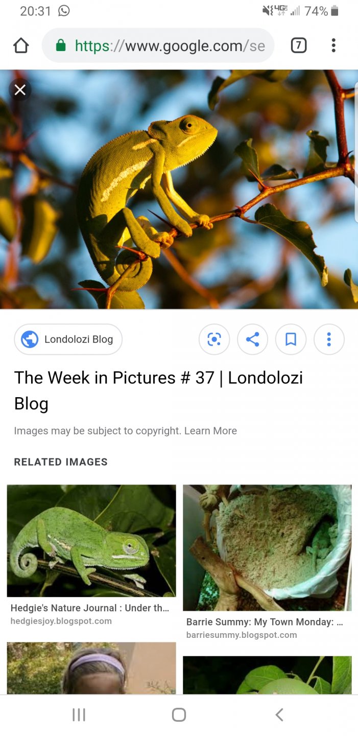 Screenshot_20190504-203144_Chrome.jpg