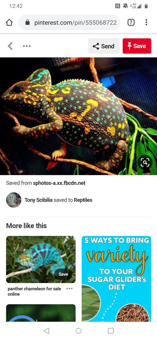 Screenshot_20191023-124247.jpg