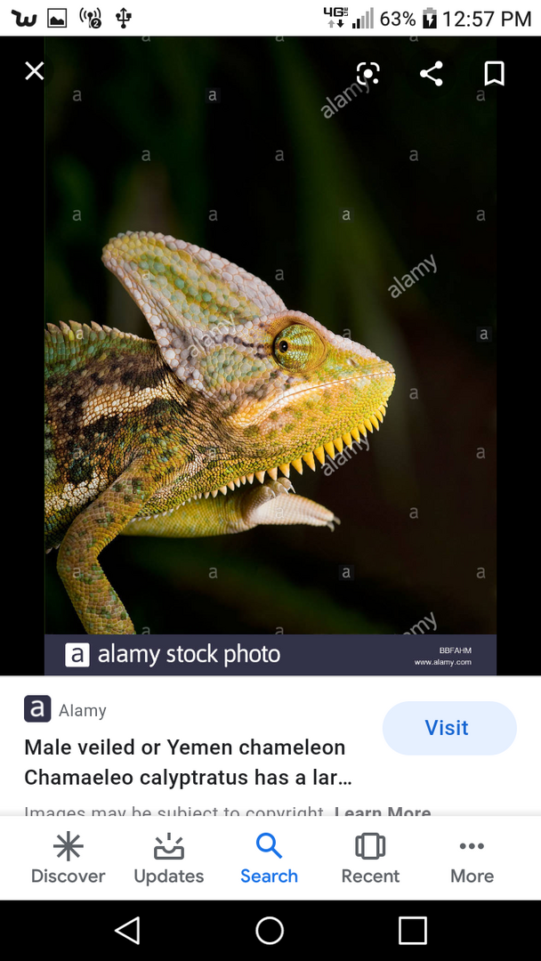 Screenshot_2020-05-09-12-57-11.png