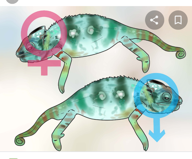 Screenshot_20201029-124610.png